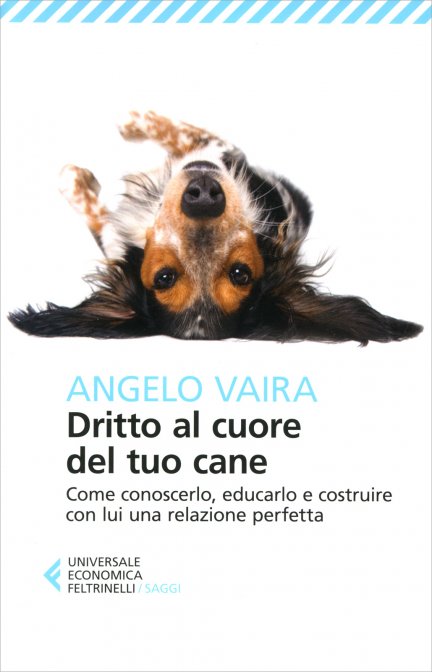 Dritto al cuore del tuo cane
