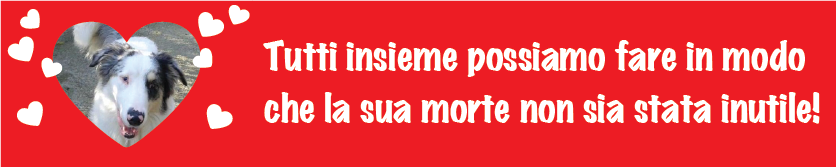 Sturn