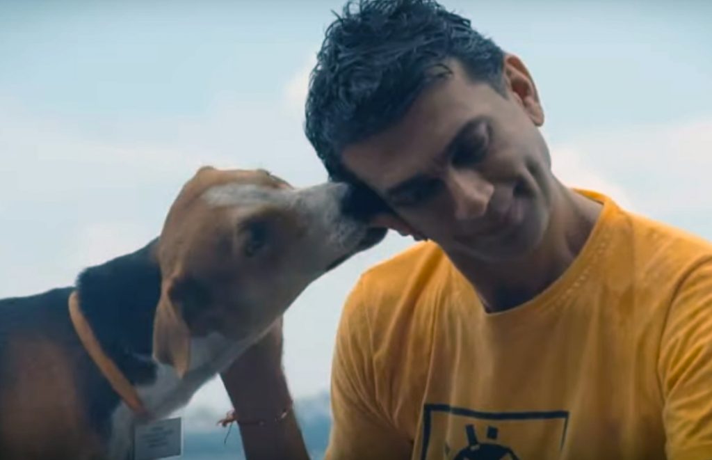 Welfare of stray dogs india