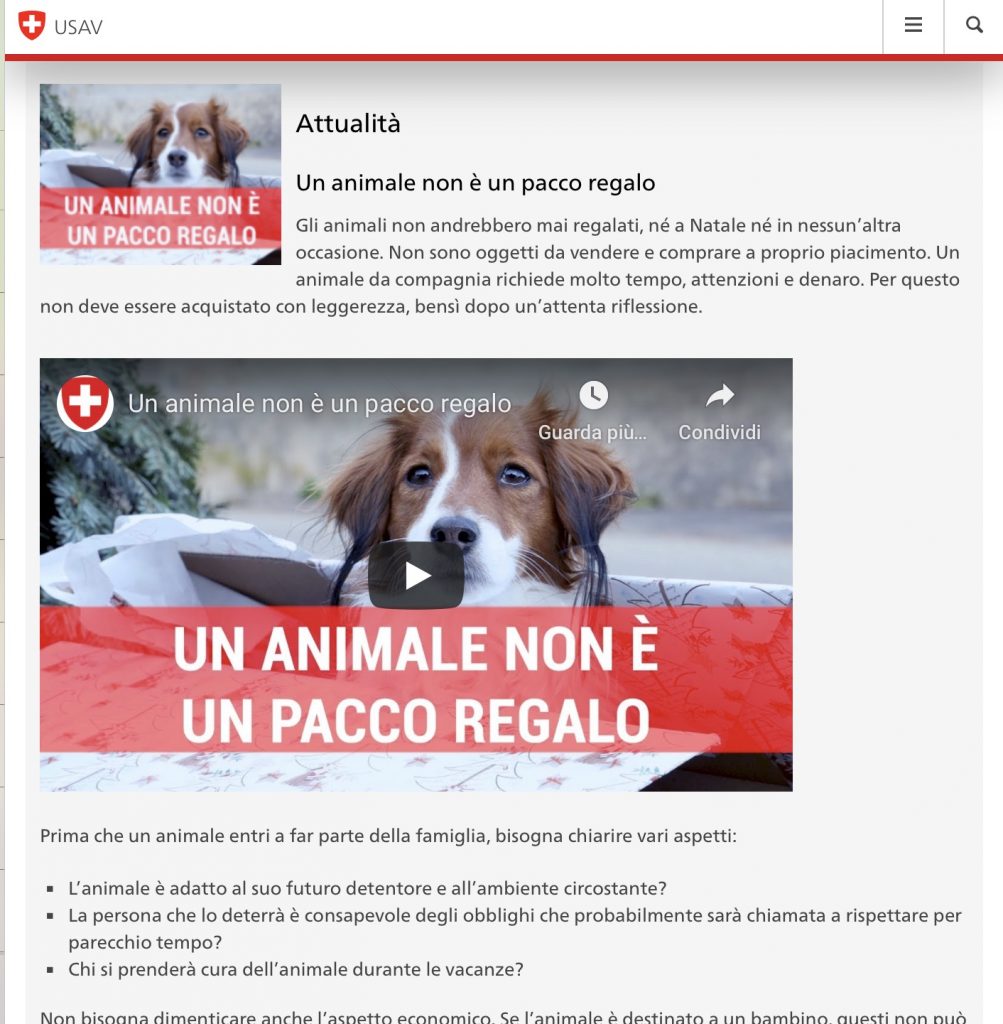 Un animale non è un pacco regalo