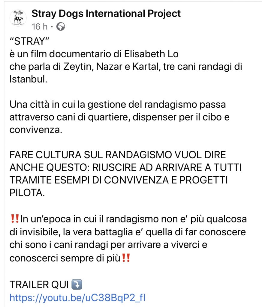 Stray