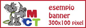 MCT banner 300x100