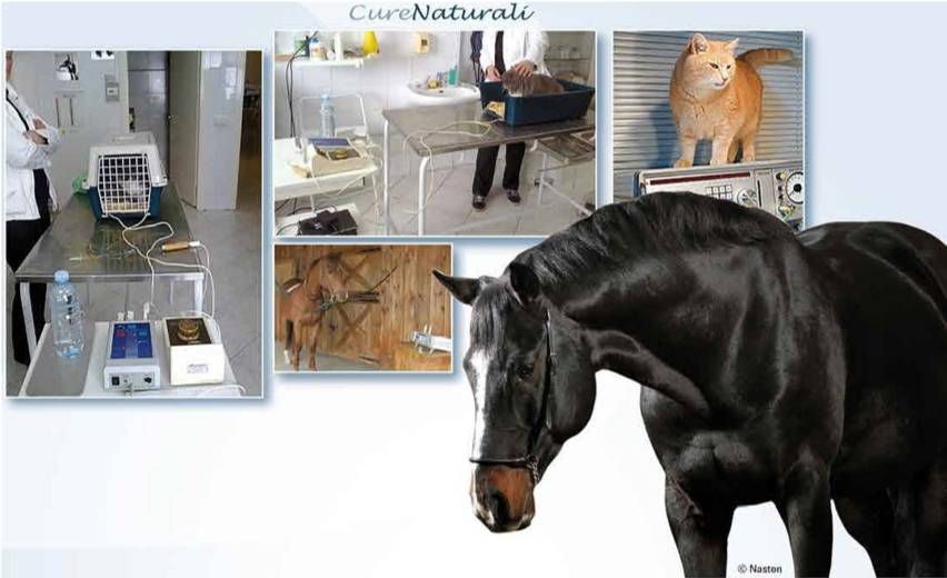 Rivista Animali Biorisonanza no. 59