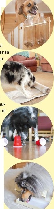 Attivazione Mentale