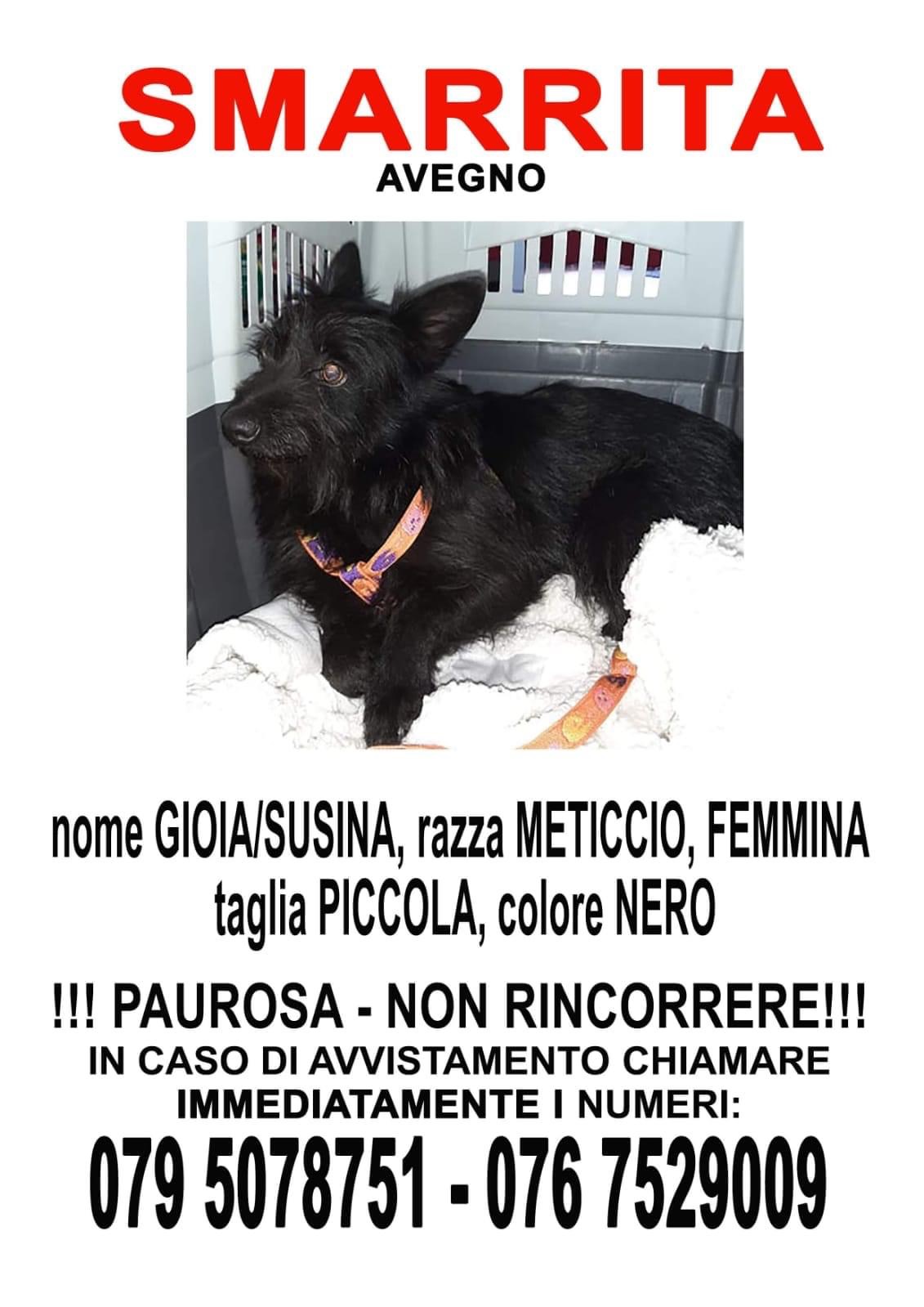 GIOIA smarrita