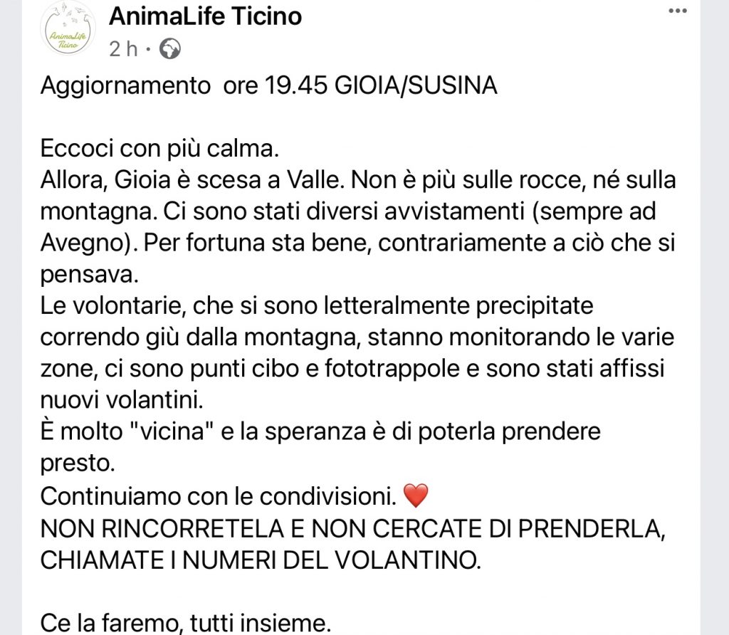 Gioia smarrita