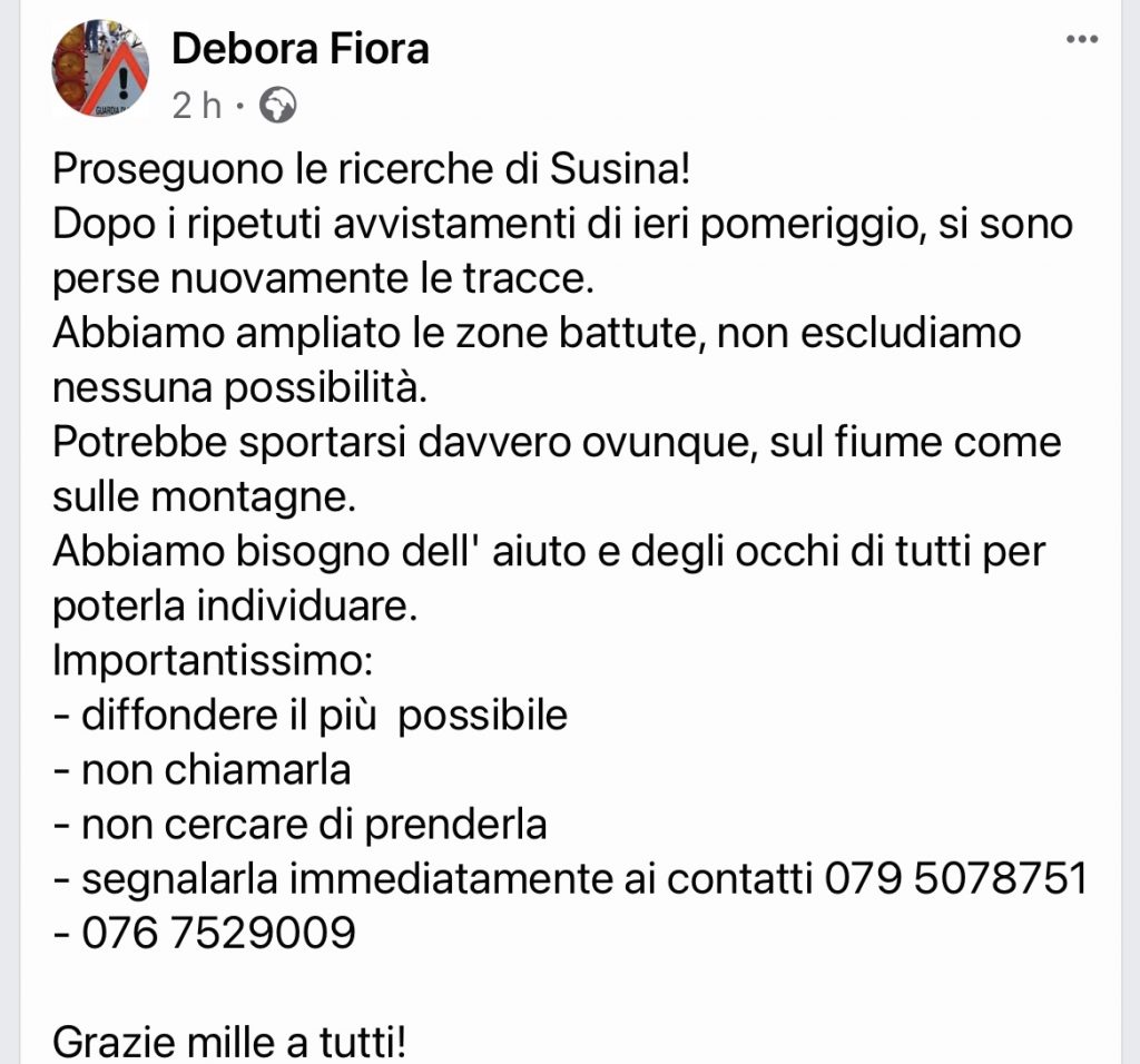 Gioia smarrita