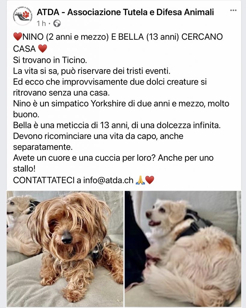 ATDA Nino & Bella