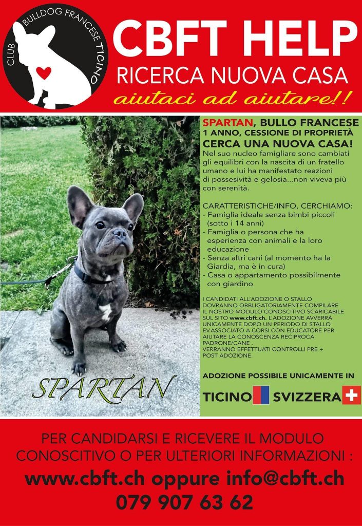CBFT Spartan cerca casa