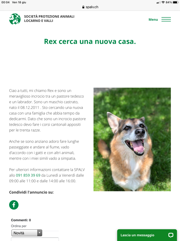 REX cerca casa SPALV