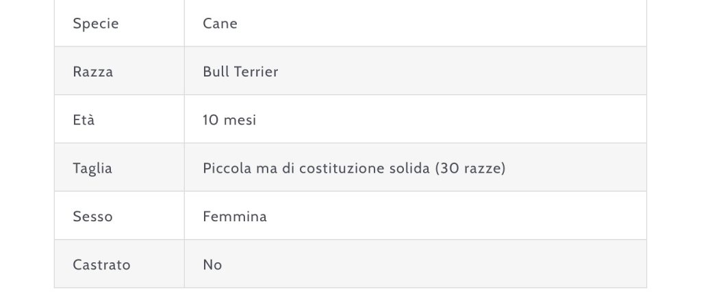 Cloe cerca casa SPAB
