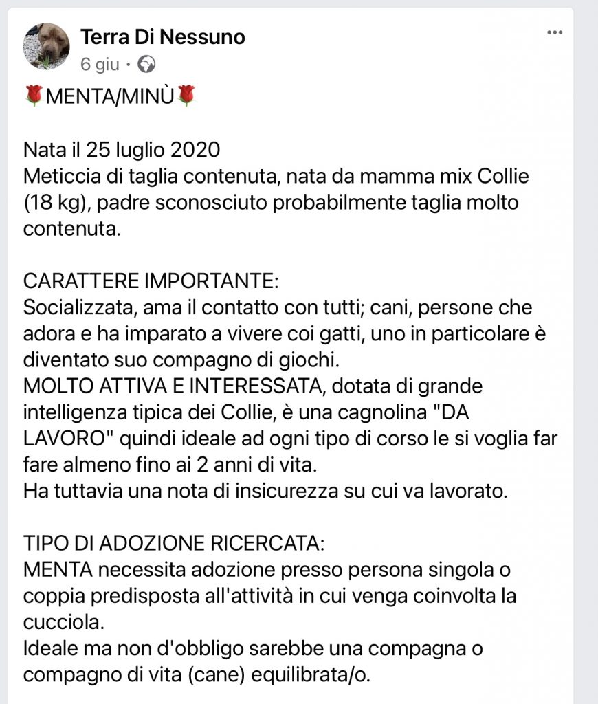 Menta cerca casa