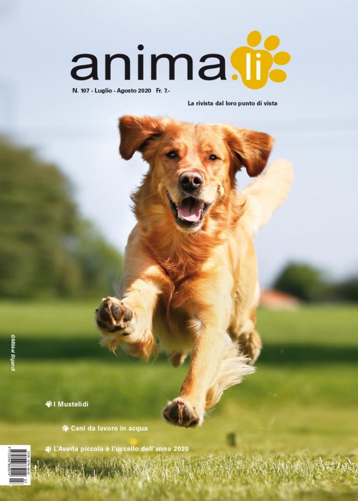 Rivista Animali 107