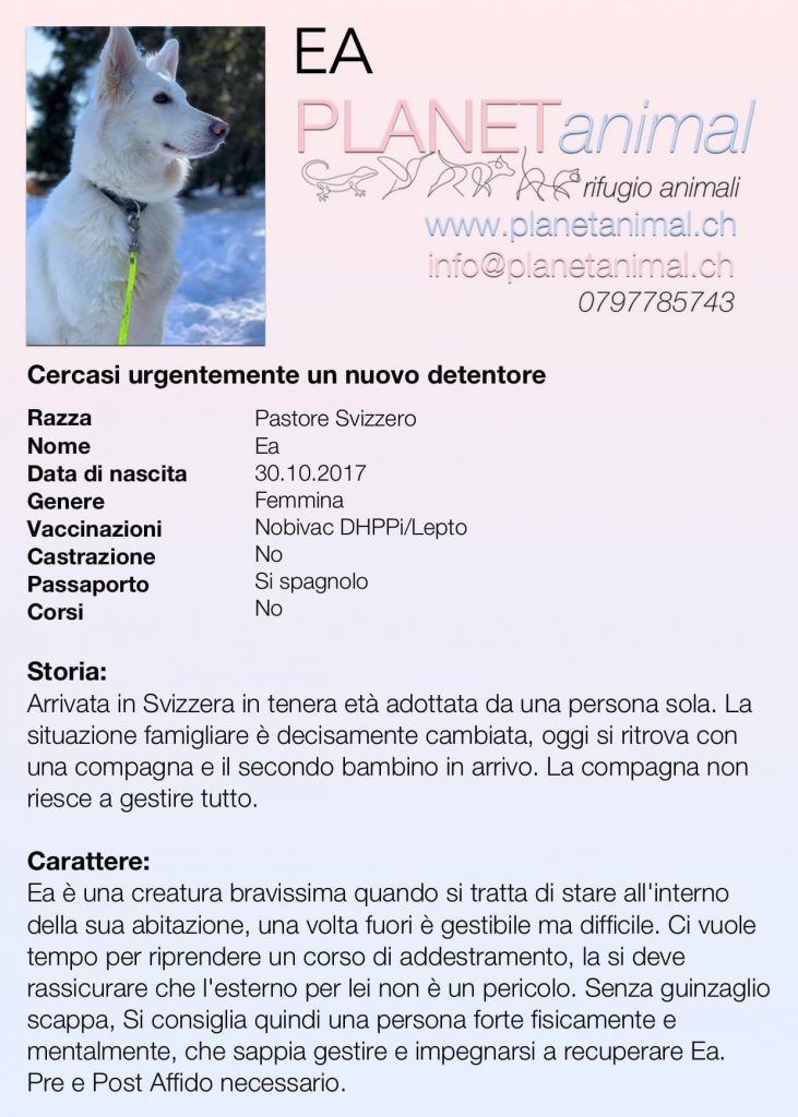 EA cerca casa Planet Animal