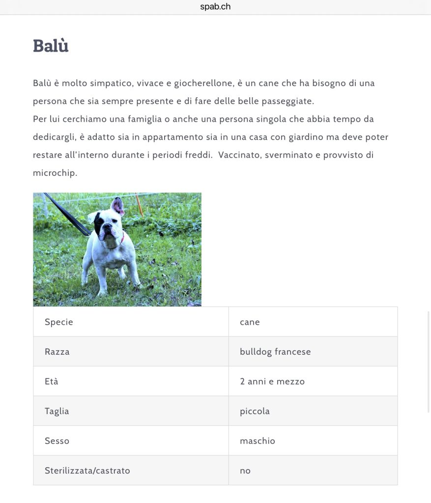 Balu SPAB