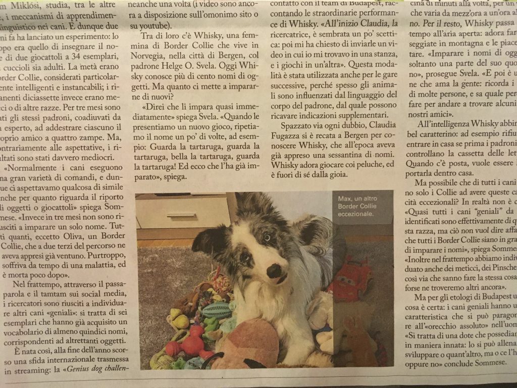 Quel genio di un cane Azione