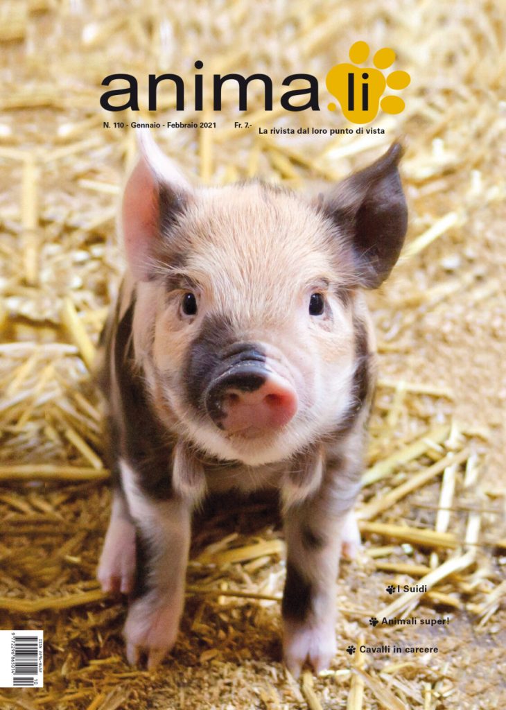 110 copertina Rivista Animali