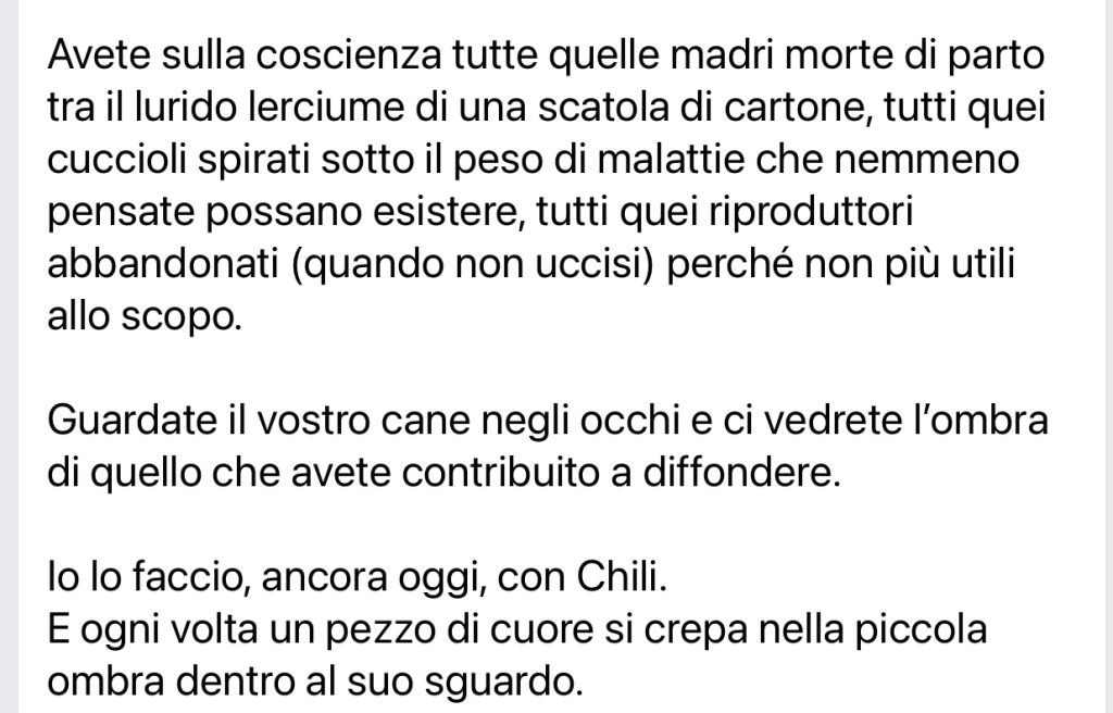 Chili Chihui