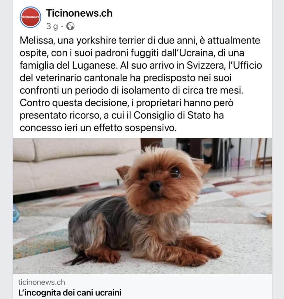 TICINONEWS cani ucraina