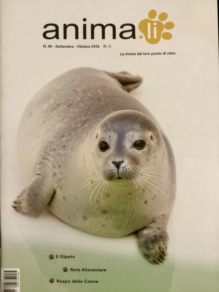 Rivista Animali 96