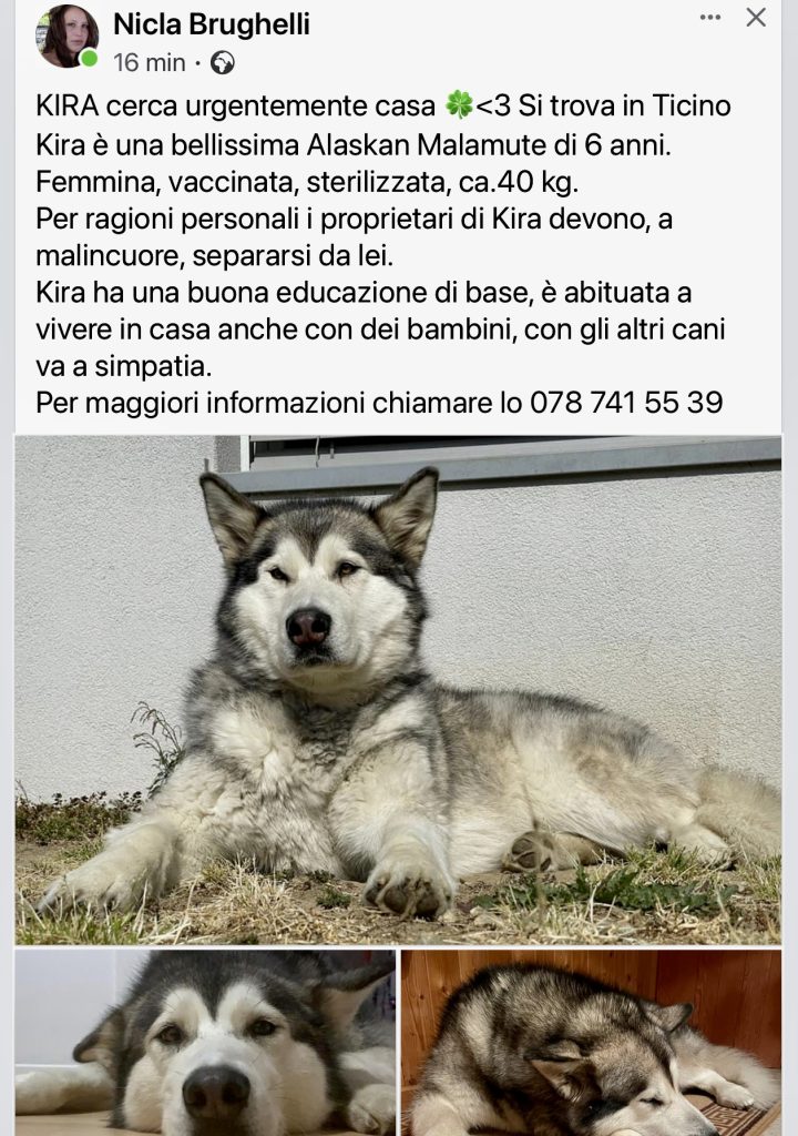 Kira cerca casa privato