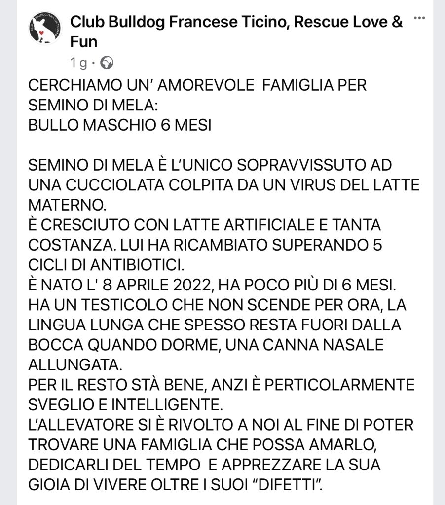 CBFT cerca casa