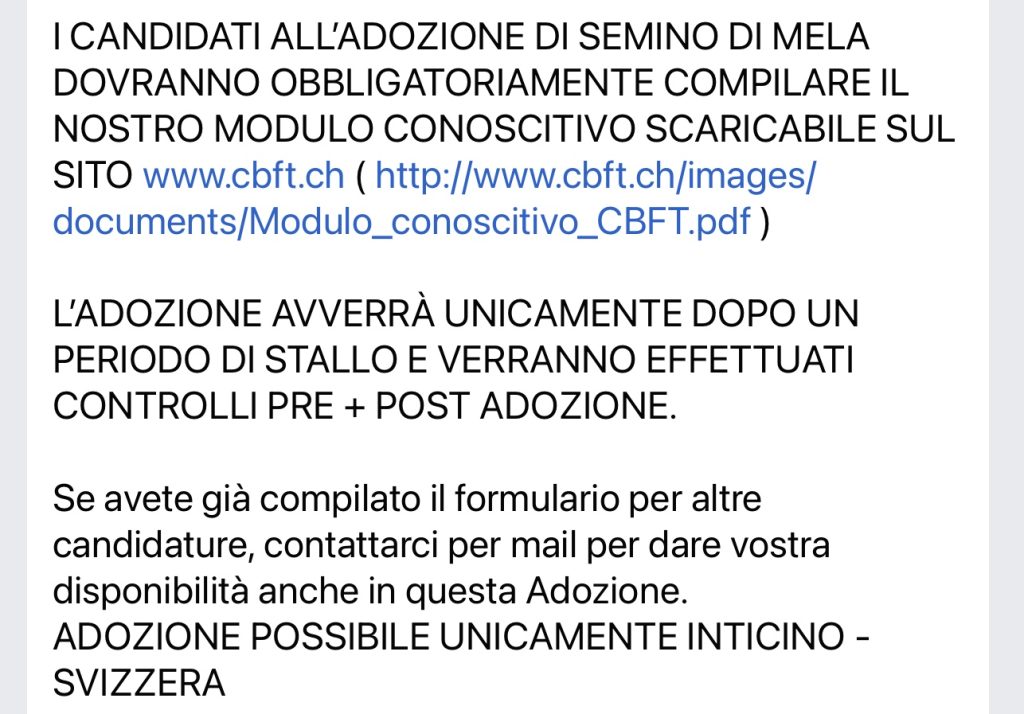 CBFT cerca casa