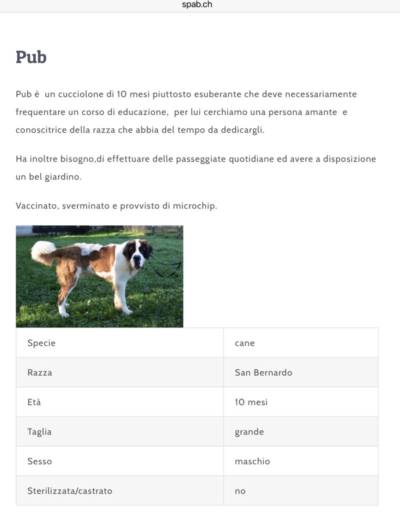 PUB cerca casa SPAB