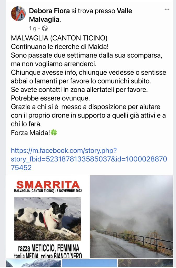 MAIDA SMARRITA