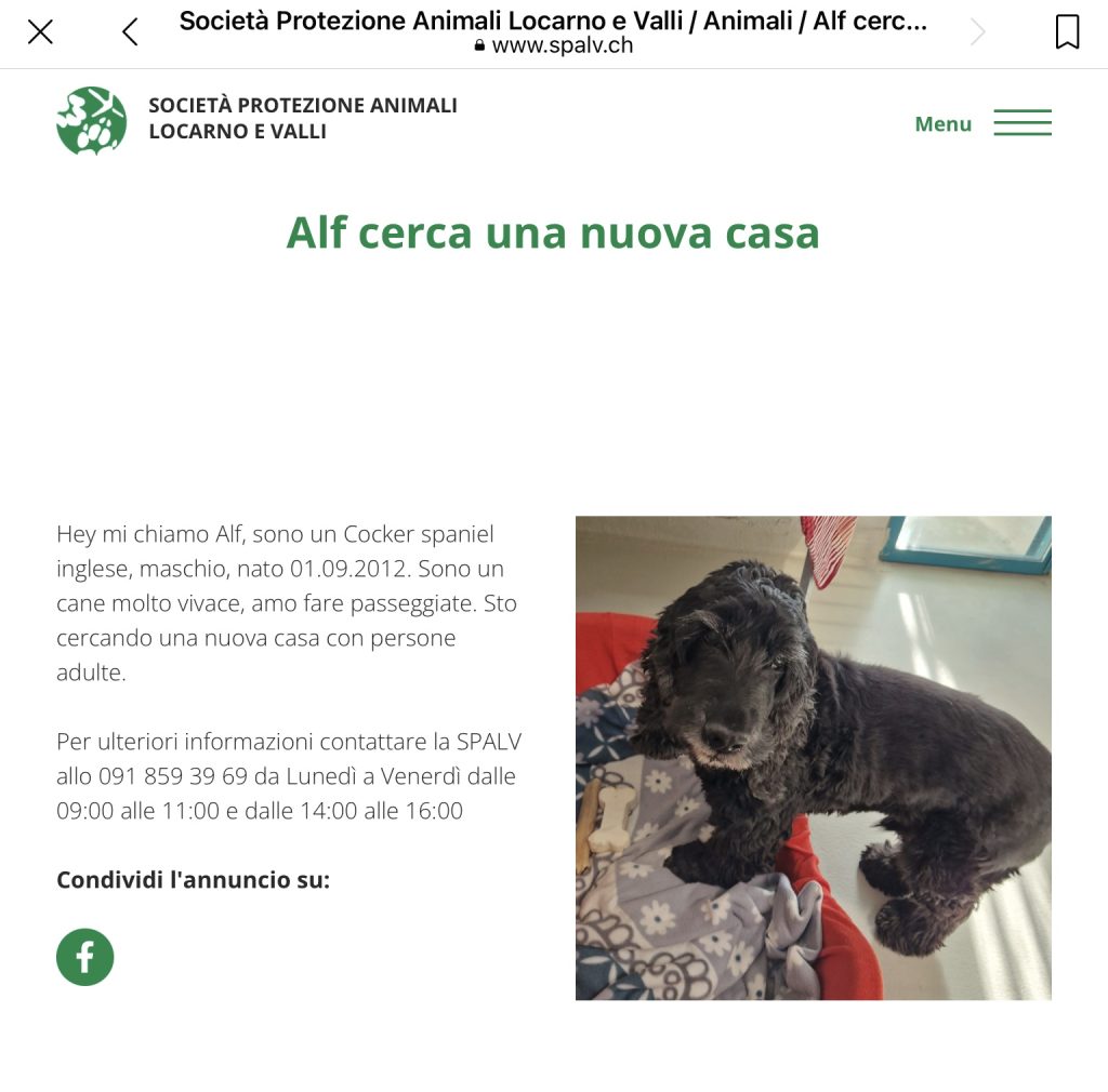 Alf cerca casa SPALV
