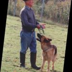 Rivista Animali Cavazzi