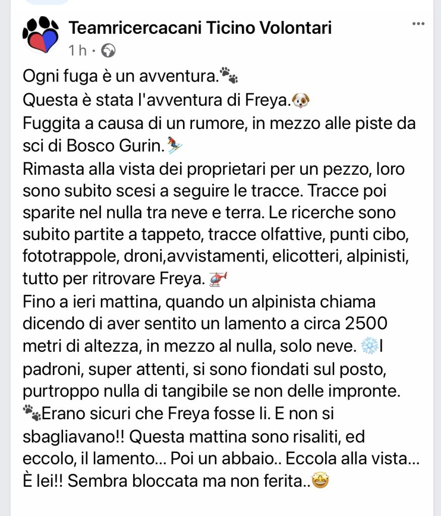 Teamricercacani Ticino Volontari Freya