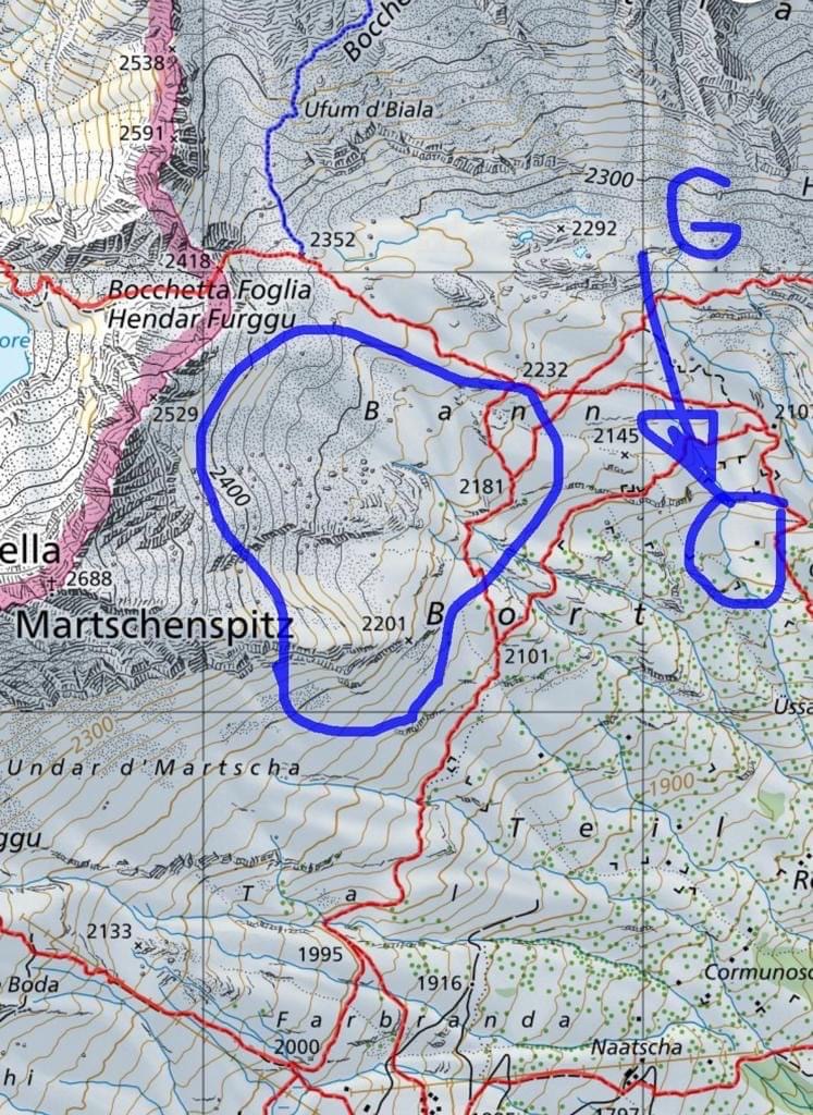Teamricercacani Ticino Volontari Freya