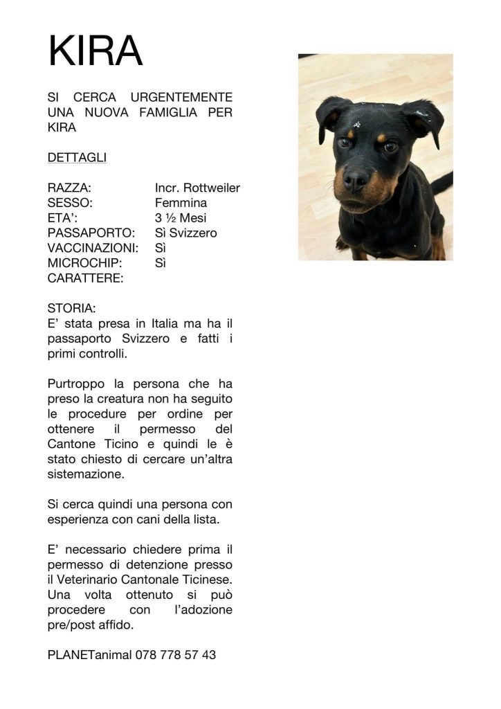 Kira cerca casa PlanetAnimal