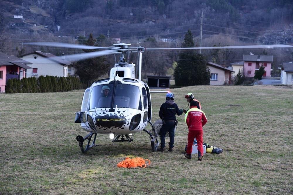 Ercole salvato TeamRicercaCani Volontari