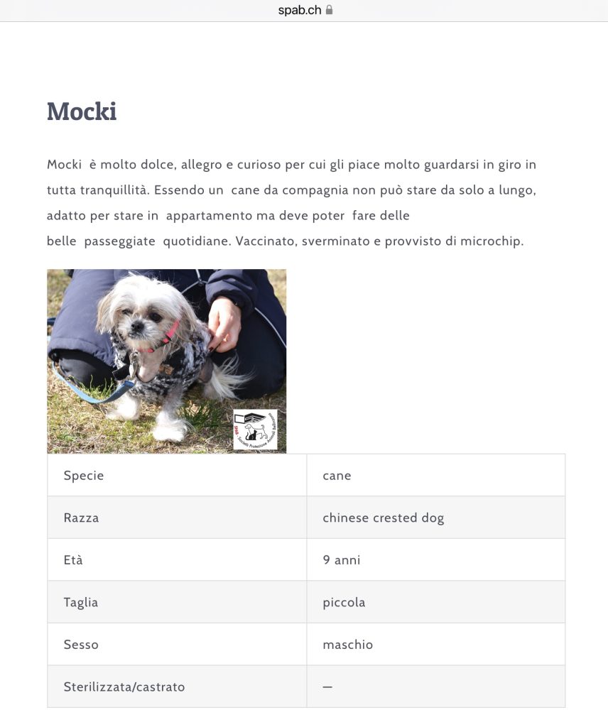 Mocky cerca casa SPAB