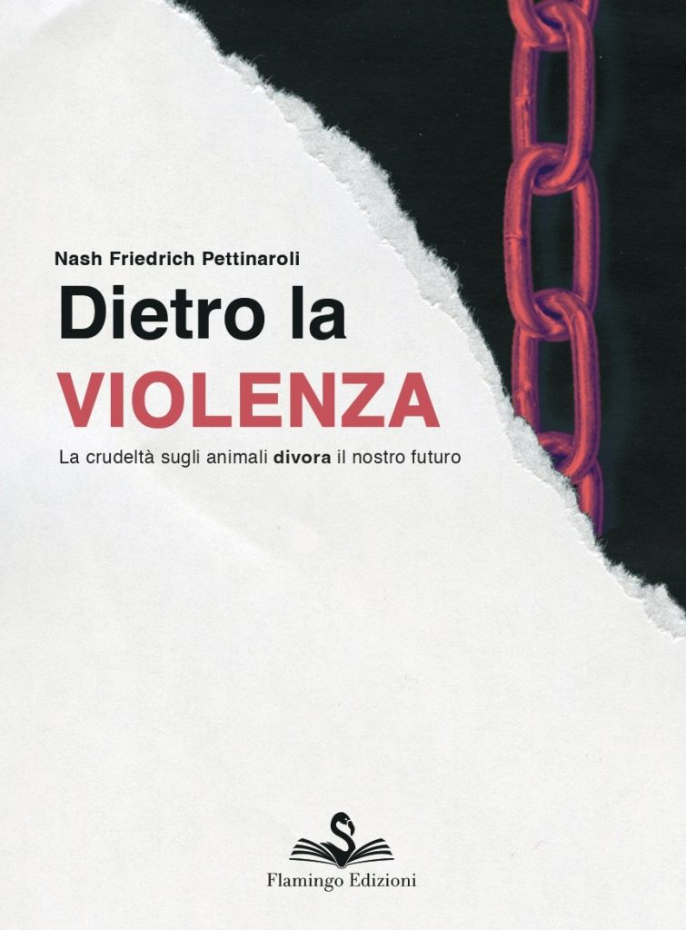 Dietro la Violenza Nash Pettinaroli Flamingo Edizioni