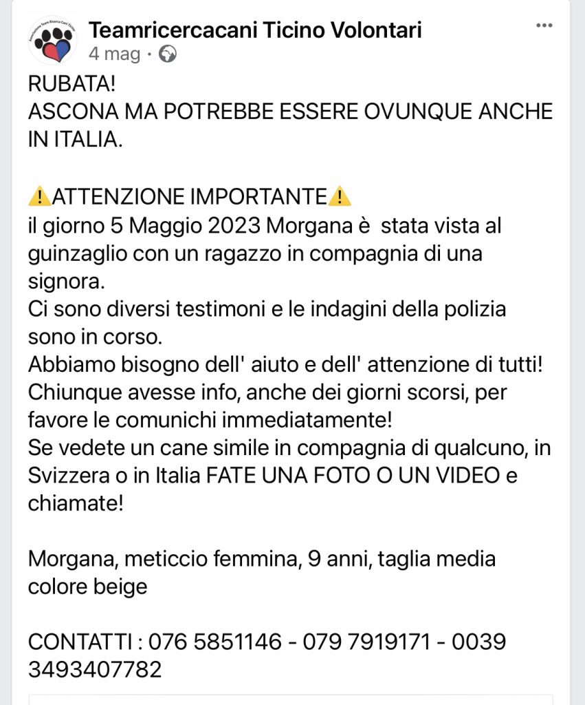 MORGANA Team Ricerca Cani Volontari