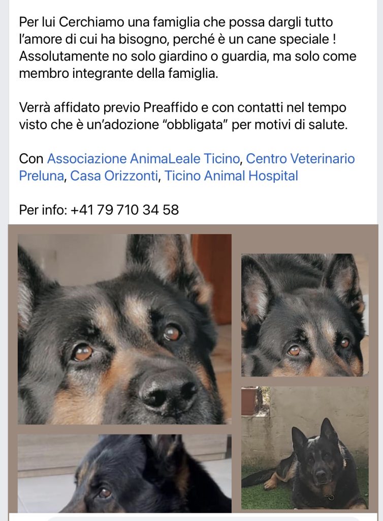 Leo cerca casa