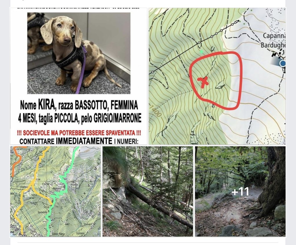 Kira Teamricercacani Ticino Volontari