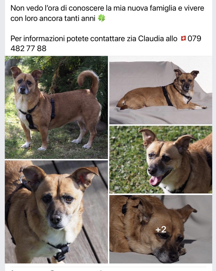 Ely cerca casa - privato