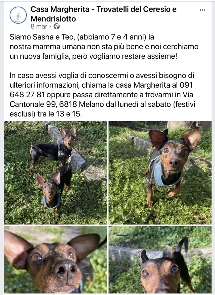 Sasha e Teo cercano casa Casa Margherita