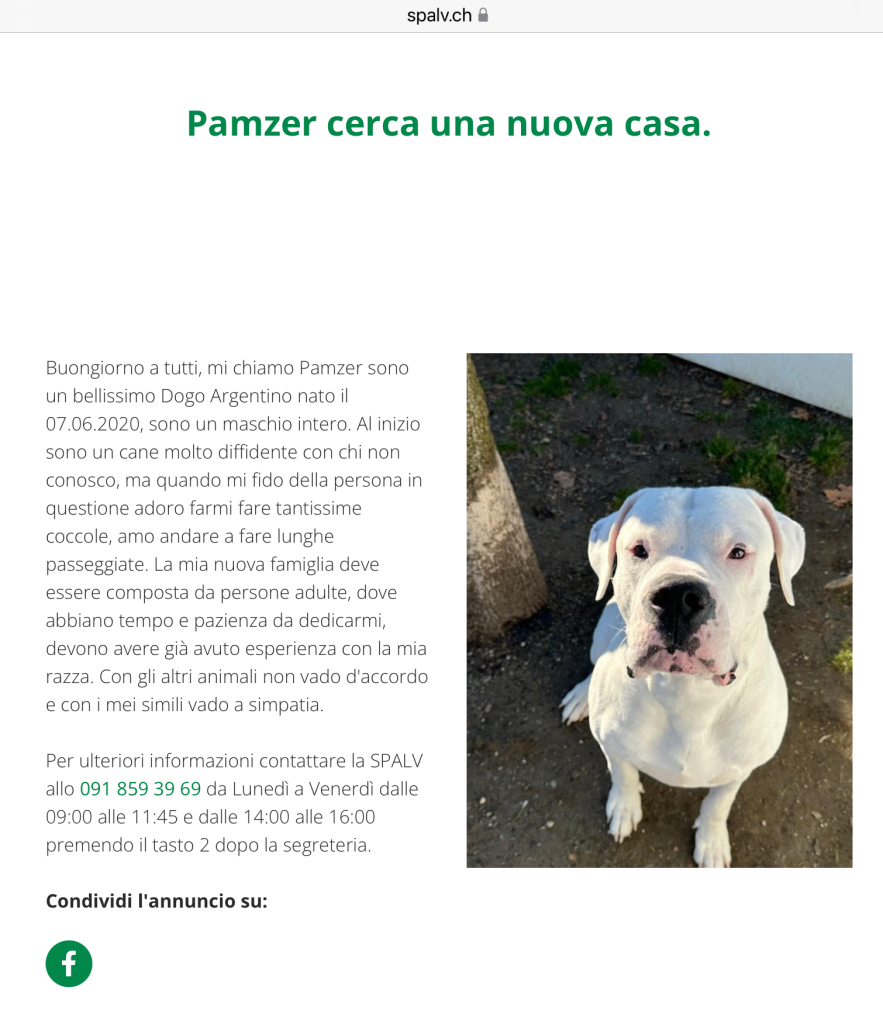 Pamzer cerca casa SPALV