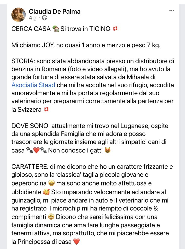 JOY cerca casa privato