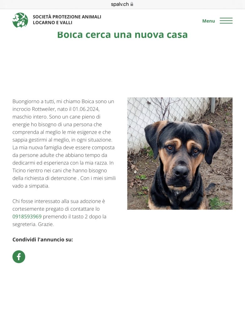 BOICA CERCA CASA SPALV