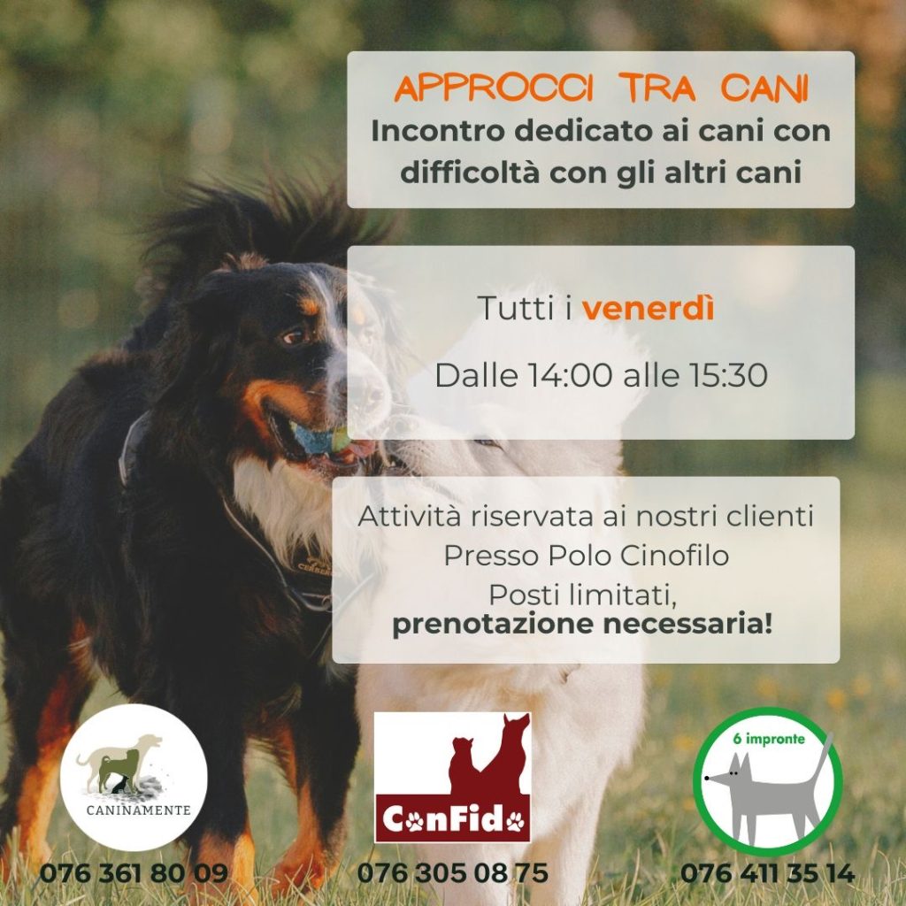 approcci tra cani Caninamente ConFido 6impronte