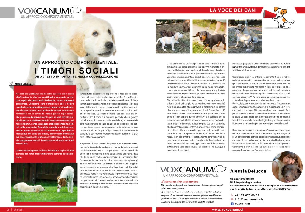Timori sociali Voxcanum