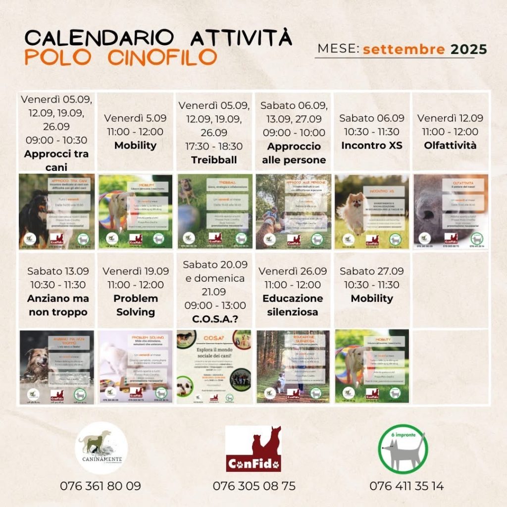 Attività settembre 2025