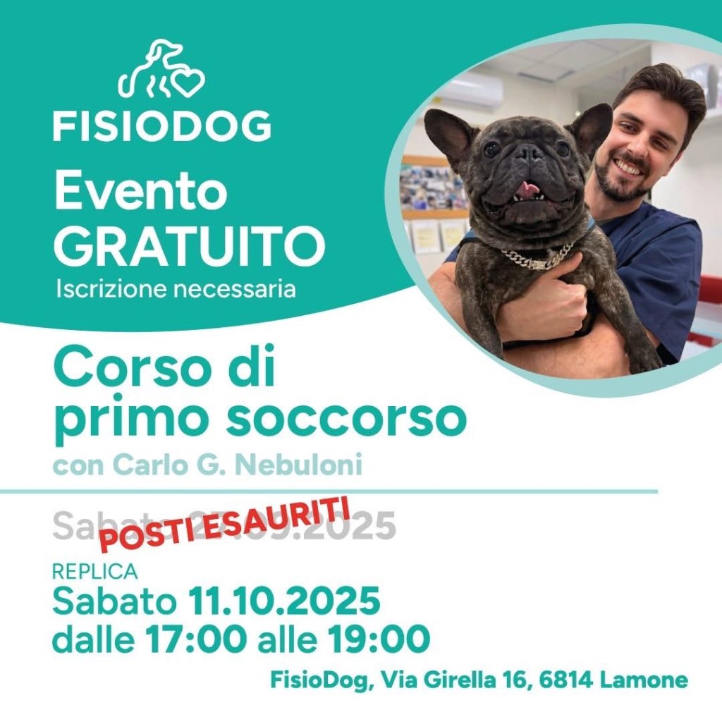 primo soccorso FisioDog