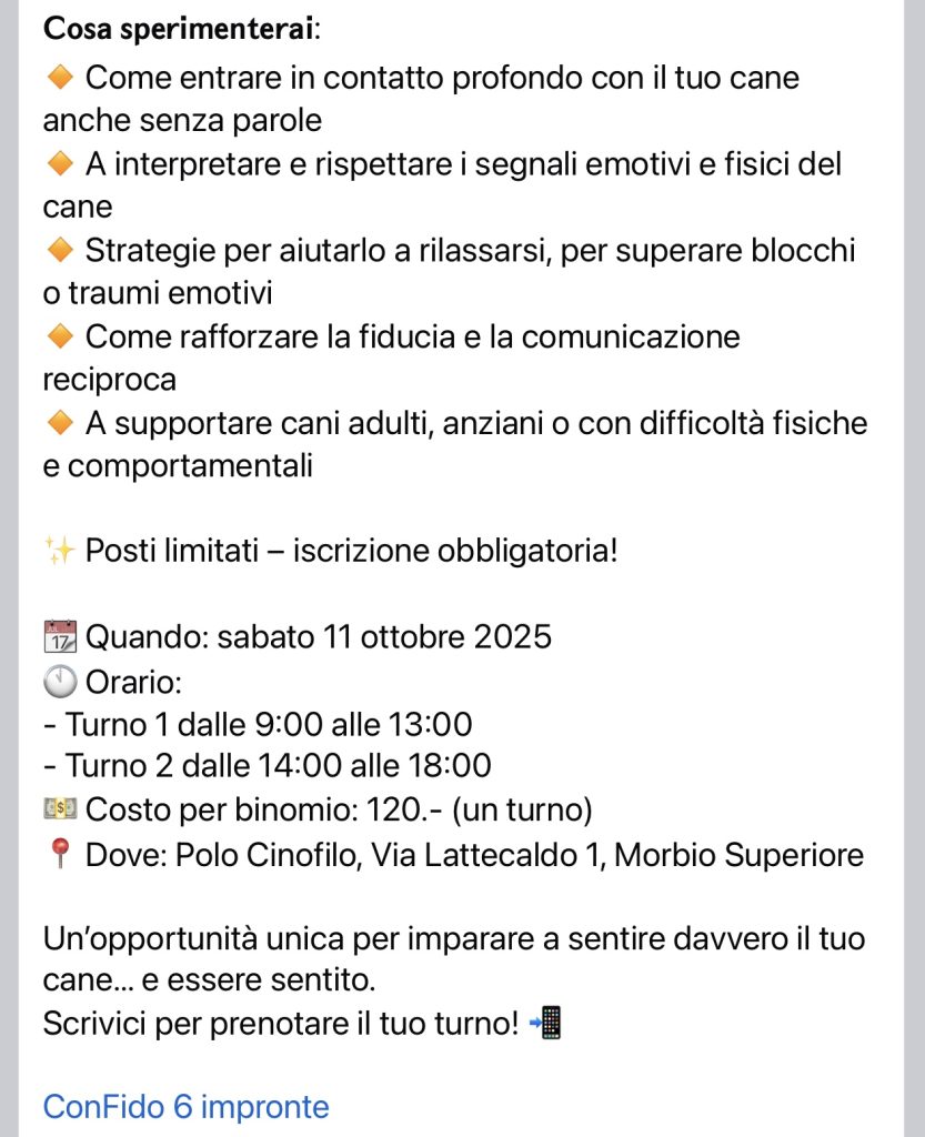 Seminario DEEP CONTACT Caninamente